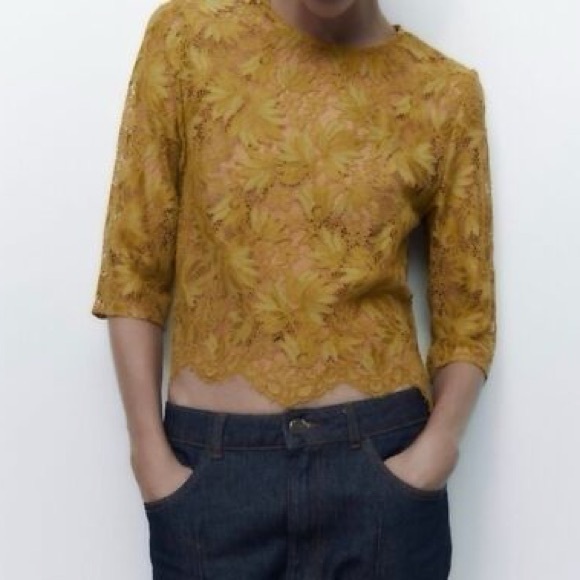 Zara Tops - Zara Womens Mustard Lace Crop Top - Three-Quarter Sleeve Size XL